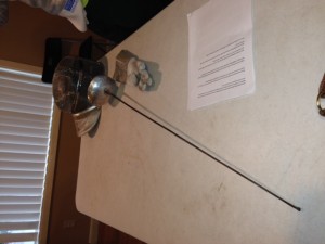 Guest Speaker - Fencing 2
